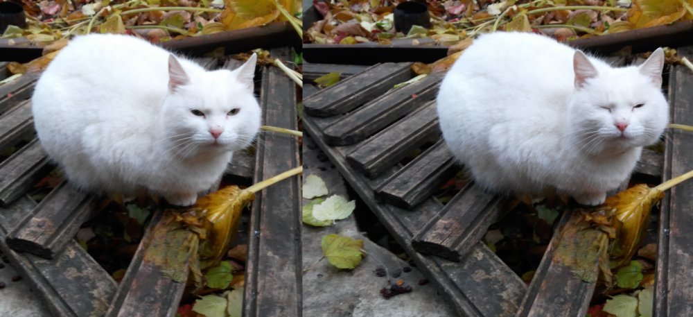 lenovo-vibe-p1-pro-c72-review-14